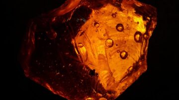 Jak usunąć żywicę z ubrania? Kilka sprawdzonych domowych sposobów