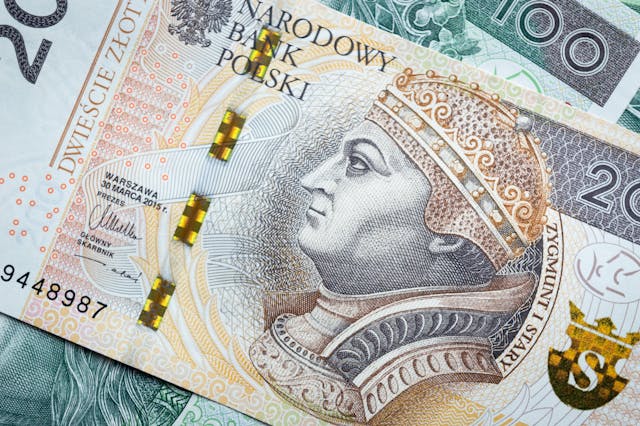 Opis i konfiguracja płatności odroczonych PayPo w sklepie internetowym