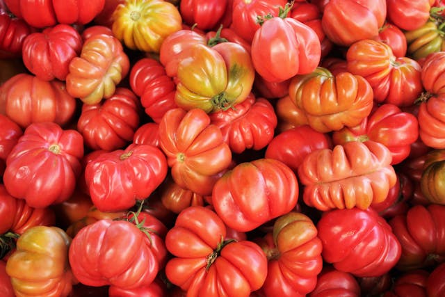 Biedronka kusi promocjami – ceny spadają o połowę, a gratisy czekają na klientów