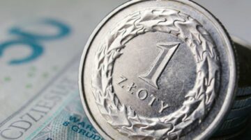 W kasie samoobsługowej zapłacisz mniej. Biedronka dodaje nową funkcję