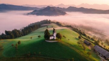 Schwarz inwestuje w Rumunii. La Cocoș dołącza do Lidla i Kauflandu