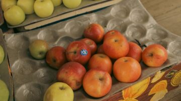 Jak suszyć jabłka w suszarce, żeby były smaczne i dobrze wysuszone?